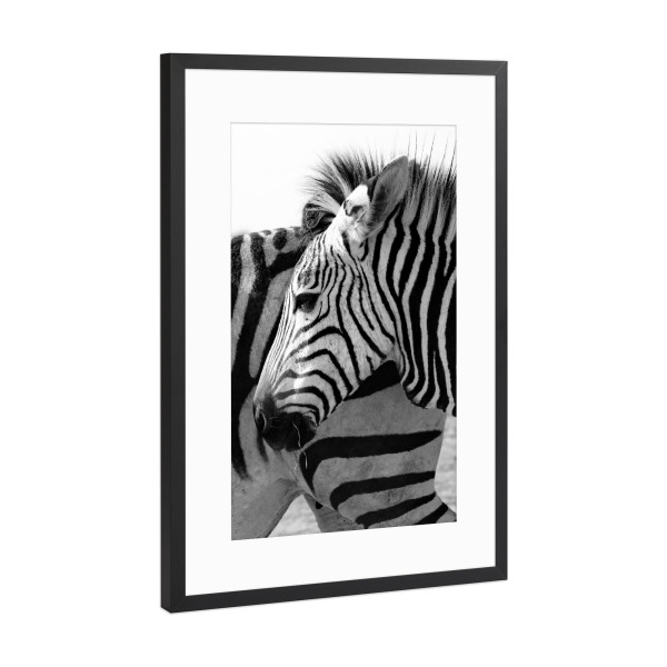 Poster mit Rahmen Schwarz (Metallic) "Alles Zebra" artboxONE - Tiere,Schwarzweiß,Reise / Afrika - Zebra,Streifen,Afrika