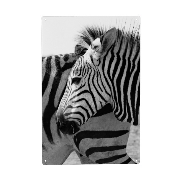 Holzbild "Alles Zebra" artboxONE - Tiere,Schwarzweiß,Reise / Afrika - Zebra,Streifen,Afrika