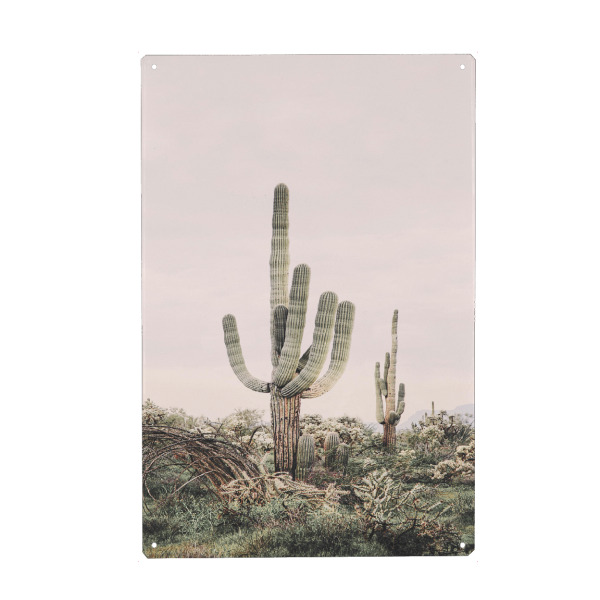 Holzbild "Blush Desert Cactus" artboxONE - Natur - Cactus,Desert,Succulent