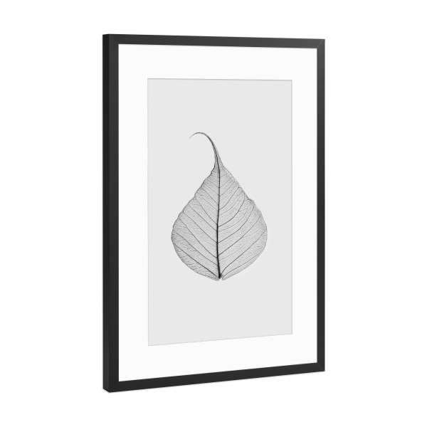 Poster mit Rahmen Schwarz (Metallic) "Skeleton Leaf" artboxONE - Natur,Floral,Schwarzweiß - Black and white,Leaf,Photography,Skeleton leaf,Still life