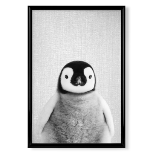 Baby Penguin - Black & White