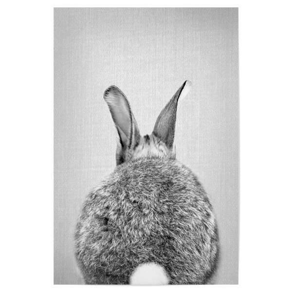 Poster "Rabbit Tail - Black & White" artboxONE - Tiere,Schwarzweiß - Animal,Animals,Peekaboo,Bunny,Butt