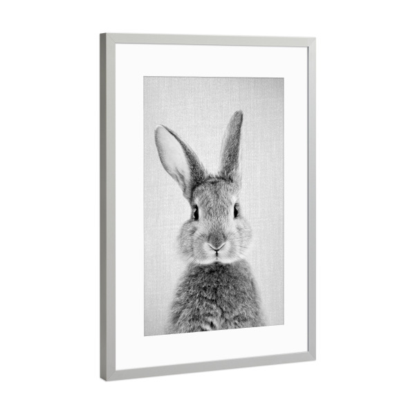 Poster mit Rahmen Silber "Rabbit - Black & white" artboxONE - Tiere,Schwarzweiß - Rabbit,Bunny,Animal