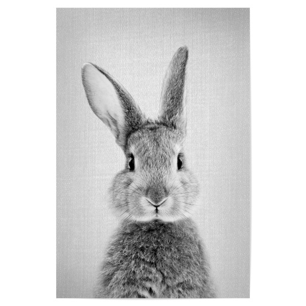 Poster "Rabbit - Black & white" artboxONE - Tiere,Schwarzweiß - Rabbit,Bunny,Animal
