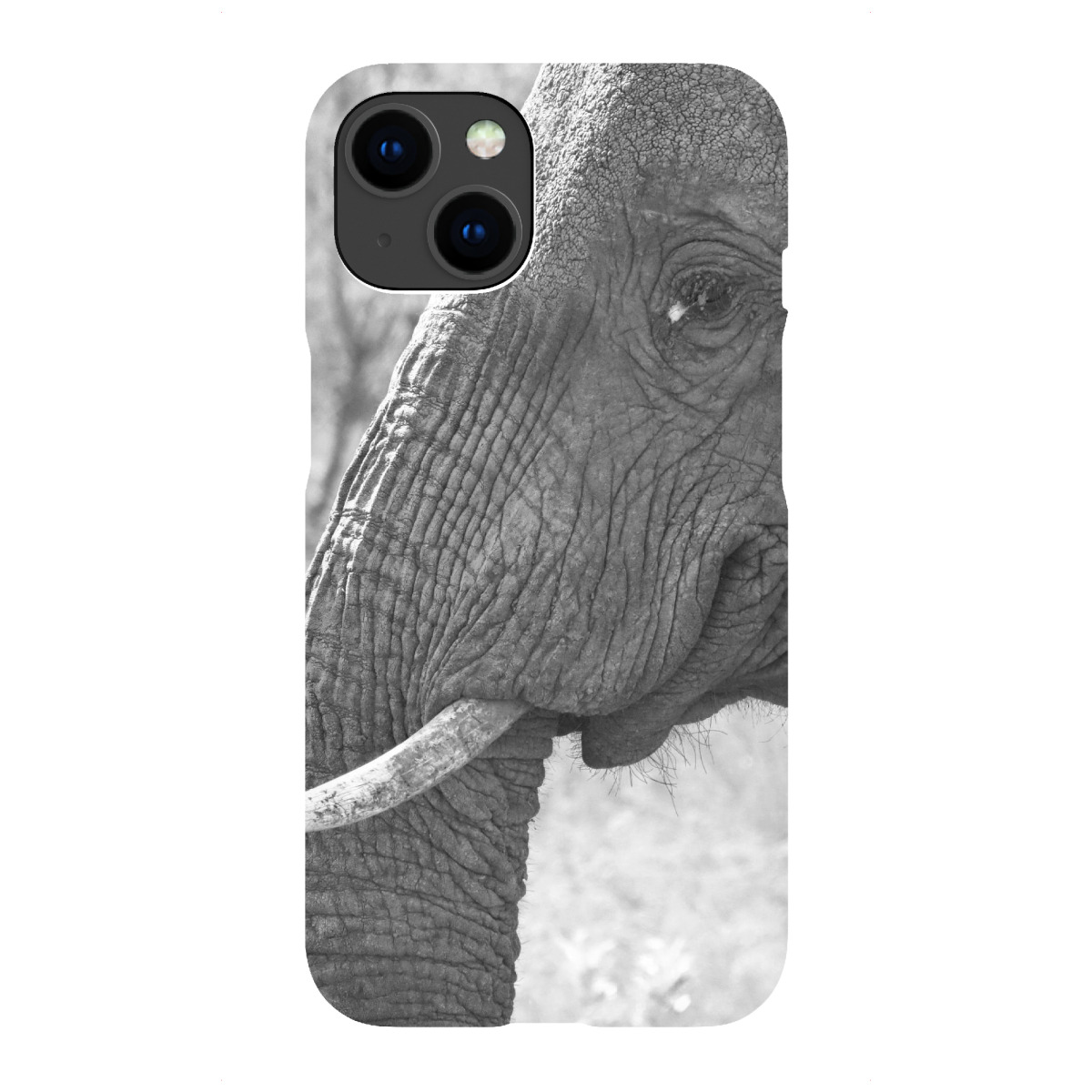 iPhone "Elefant lacht" Premium-Case Handyhülle artboxONE