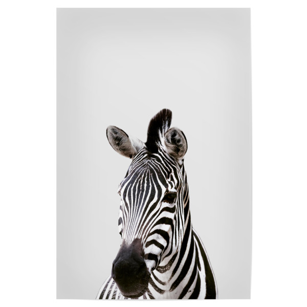 Poster 30x20 cm "Zebra African Animal" artboxONE - Tiere