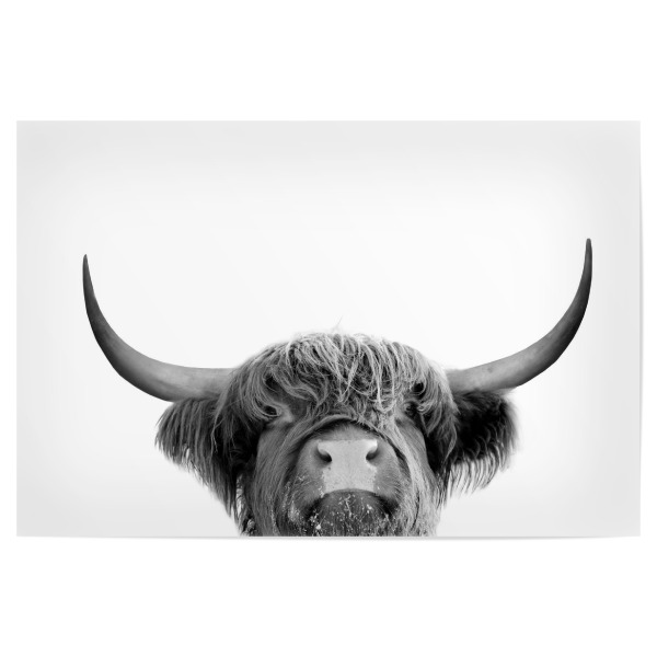 Poster 30x20 cm "Highland cow animal" artboxONE - Tiere,Schwarzweiß