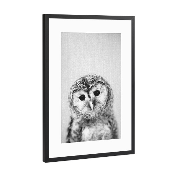 Poster mit Rahmen Schwarz (Metallic) "Baby Owl - Black & White" artboxONE - Tiere,Schwarzweiß - Animal,Baby,Portrait,Owl