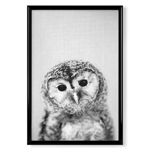 Baby Owl - Black & White