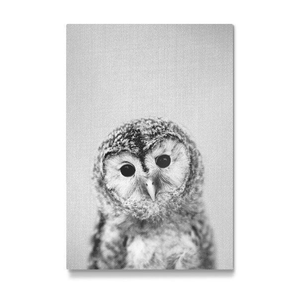 Galerie-Print "Baby Owl - Black & White" 30x20 cm artboxONE