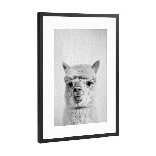 Poster mit Rahmen Schwarz (Metallic) "Alpaca - Black & White" artboxONE - Tiere,Schwarzweiß - Animal,Portrait,Alpaca,Llama