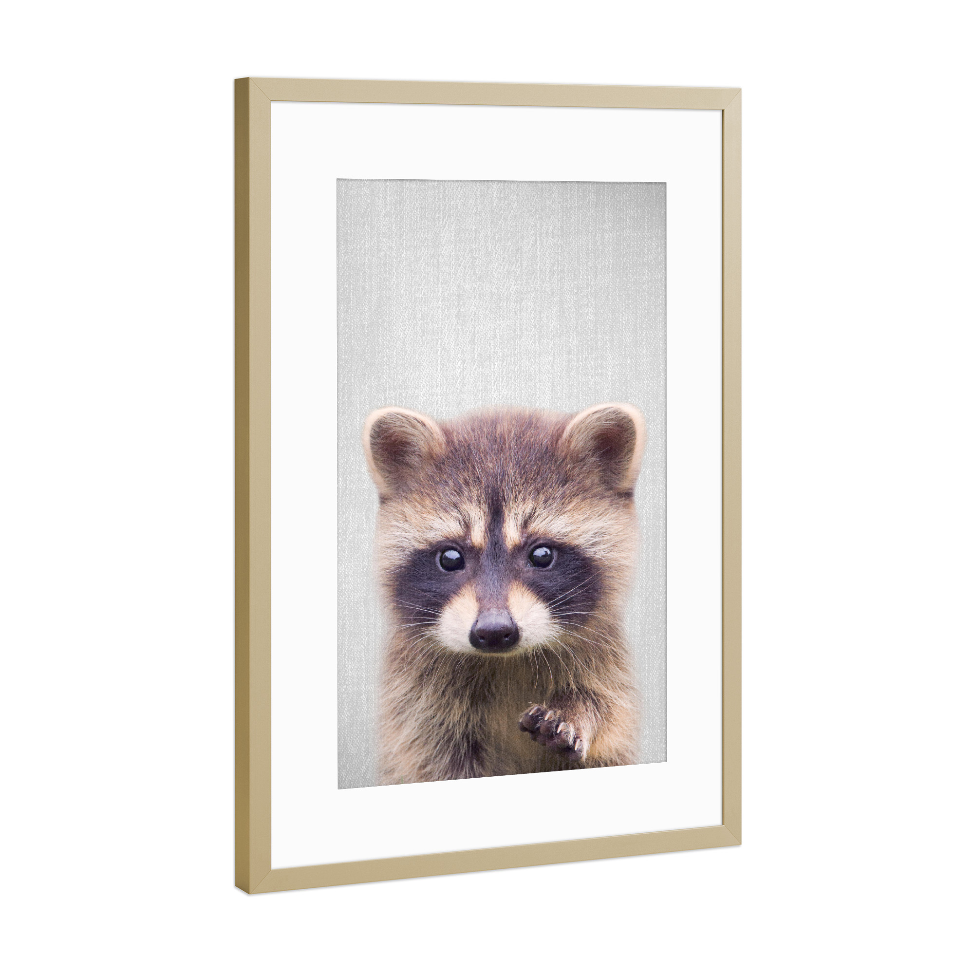 Poster mit Rahmen Gold "Raccoon - Colorful" artboxONE - Für Kinder,Tiere - Animal,Animals,Cute,Raccoon,Woodlands,Nursery,Wild,Wildlife,Modern,Portrait