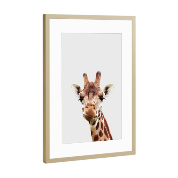 Poster mit Rahmen Gold "Giraffe - African Animal" artboxONE - Für Kinder,Tiere,Reise / Afrika