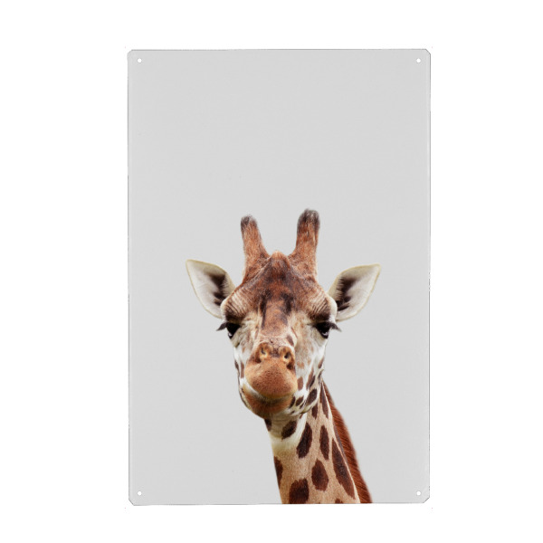 Metall Poster "Giraffe - African Animal" artboxONE - Für Kinder,Tiere,Reise / Afrika