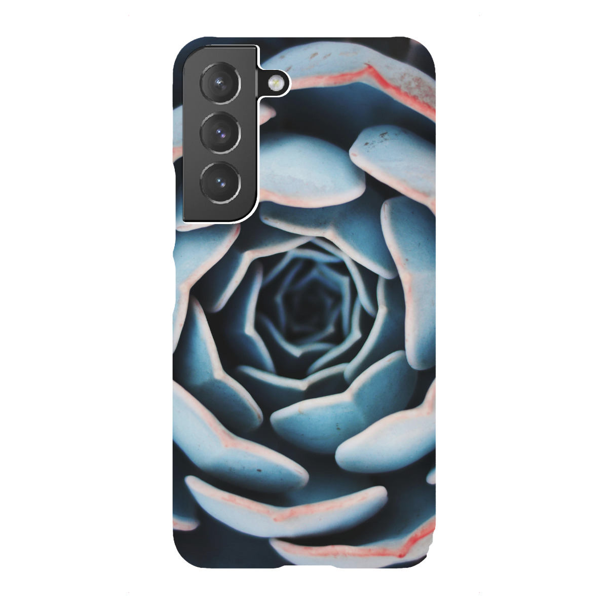 "Natural Form Succulent Plant"für Samsung Galaxy - Premium-Case Handyhülle artboxONE
