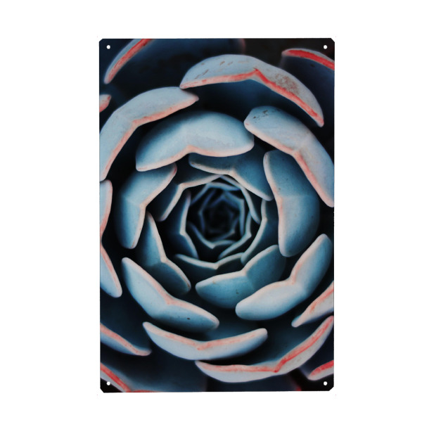 Holzbild "Natural Form Succulent Plant" artboxONE - Floral - Succulent,Plant