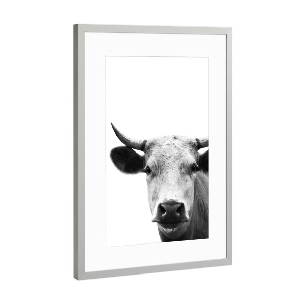 Poster mit Rahmen Silber "Cow Photography" artboxONE - Tiere,Schwarzweiß