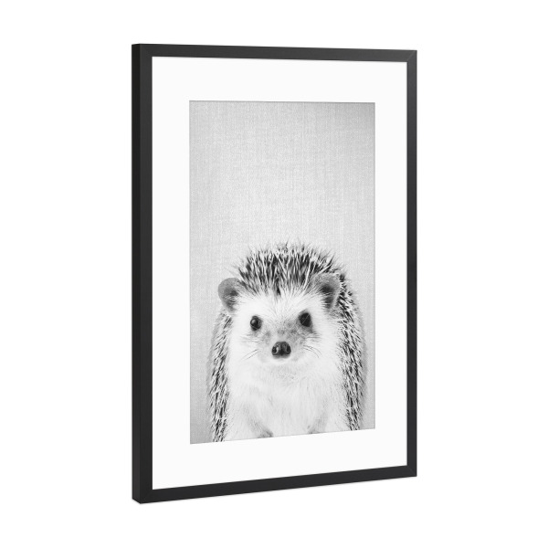 Poster mit Rahmen Schwarz (Metallic) "Hedgehog - Black & White" artboxONE - Tiere,Schwarzweiß - Animal,Baby,Portrait,Hedgehog