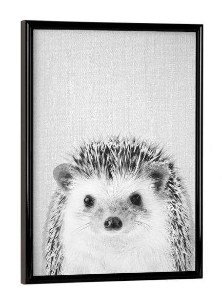 Poster mit schwarzem Rahmen "Hedgehog - Black & White" artboxONE - Tiere,Schwarzweiß - Animal,Baby,Portrait,Hedgehog