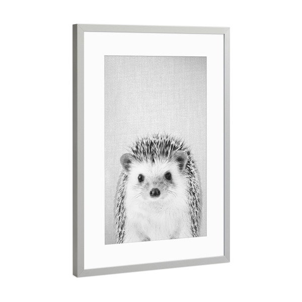 Poster mit Rahmen Silber "Hedgehog - Black & White" artboxONE - Tiere,Schwarzweiß - Animal,Baby,Portrait,Hedgehog
