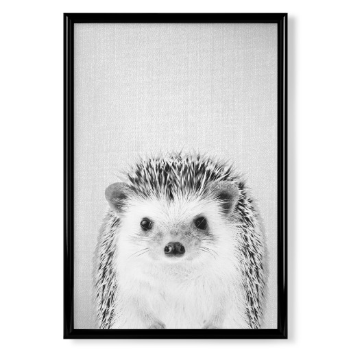 Hedgehog - Black & White