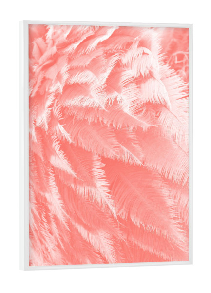 Poster mit weißem Rahmen "Straussenfedern pantone" artboxONE - Abstrakt - Straussenfedern,Feder,Federkleid,Pantone,Living coral