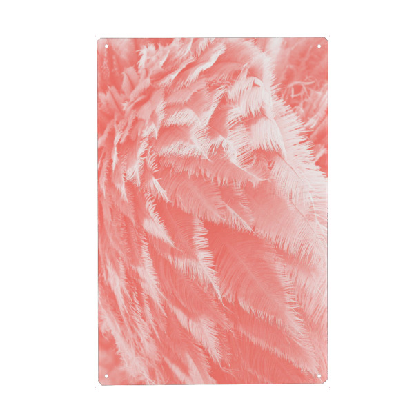 Metall Poster "Straussenfedern pantone" artboxONE - Abstrakt - Straussenfedern,Feder,Federkleid,Pantone,Living coral - Blechschild