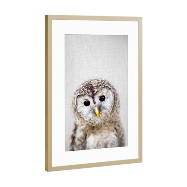Poster mit Rahmen Gold "Baby Owl - Colorful" artboxONE - Für Kinder,Tiere