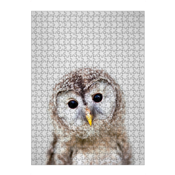 artboxONE Puzzle "Baby Owl - Colorful" artboxONE - Für Kinder,Tiere