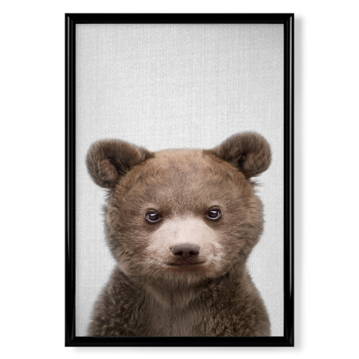 Baby Bear - Colorful