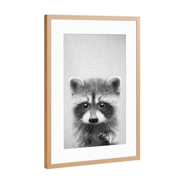Poster mit Rahmen Kupfer "Raccoon - Black & White" artboxONE - Für Kinder,Tiere,Schwarzweiß
