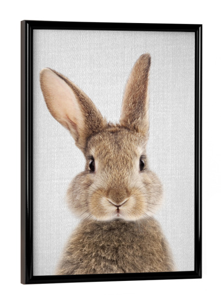 Poster mit schwarzem Rahmen "Rabbit - Colorful" artboxONE - Tiere - Rabbit,Animals,Bunny,Baby,Portrait