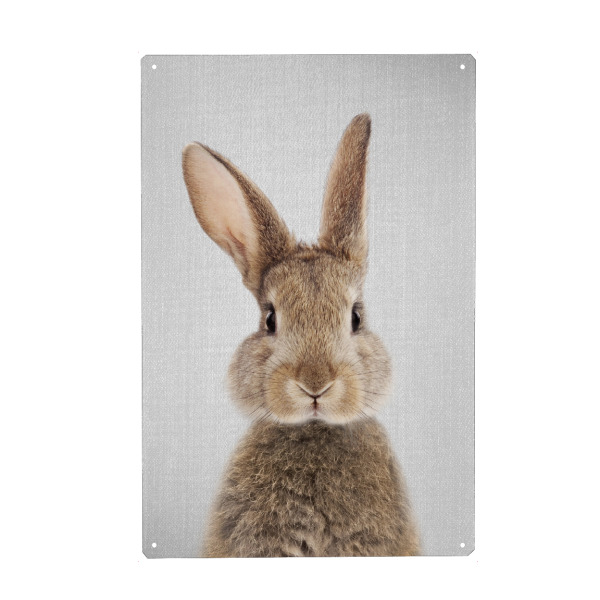 Holzbild "Rabbit - Colorful" artboxONE - Tiere - Rabbit,Animals,Bunny,Baby,Portrait