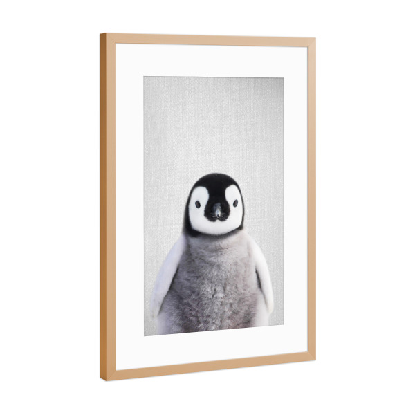 Poster mit Rahmen Kupfer "Baby Penguin - Colorful" artboxONE - Für Kinder,Tiere