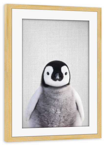 Poster mit Rahmen kiefer "Baby Penguin - Colorful" artboxONE - Für Kinder,Tiere