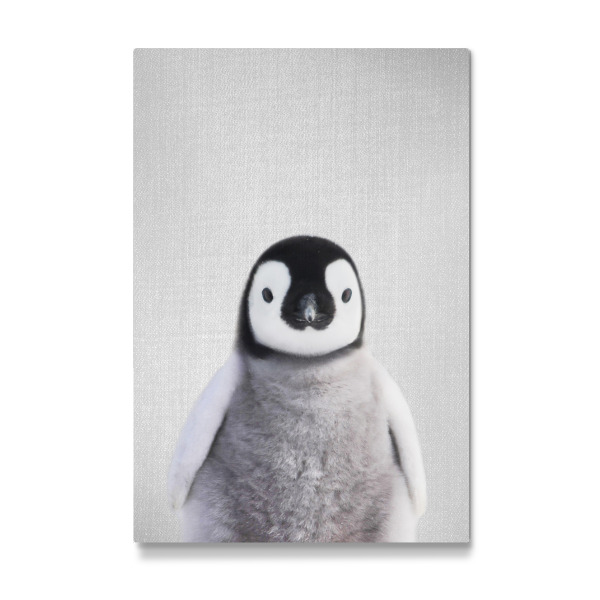 Galerie-Print "Baby Penguin - Colorful" 30x20 cm artboxONE