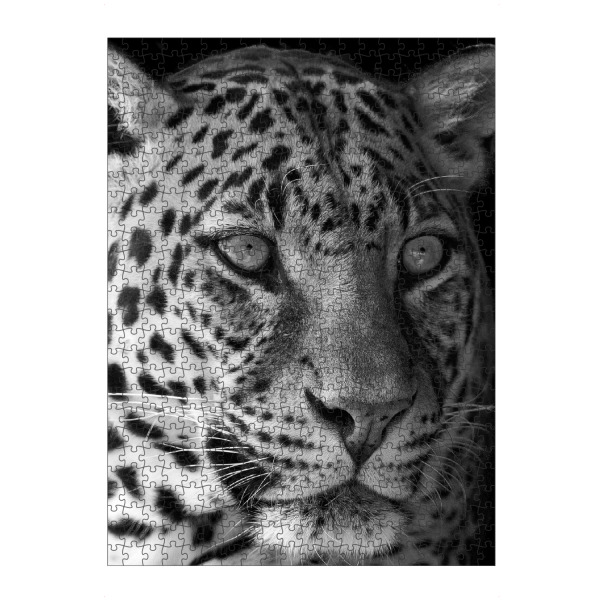 Puzzle Ravensburger "Blick des Leoparden" artboxONE - Tiere,Schwarzweiß,Reise / Afrika - Leopard,Portrait,Afrika - Bild leopard