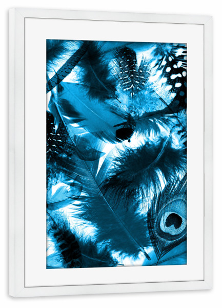 Poster mit Rahmen weiß "Blauer Traum" artboxONE - Tiere - Federn,Vogel,Fliegen