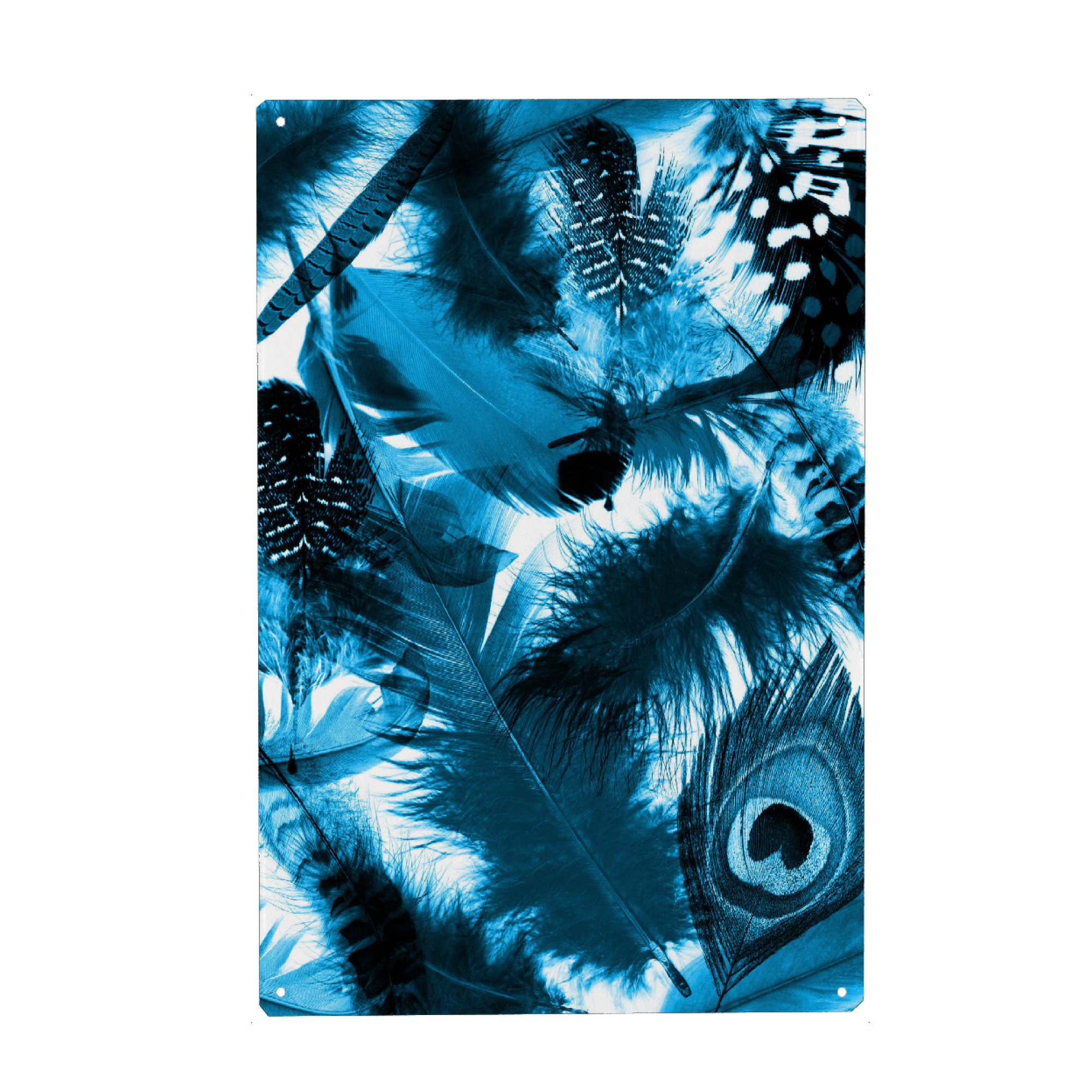Metall Poster "Blauer Traum" artboxONE - Tiere - Federn,Vogel,Fliegen - Blechschild
