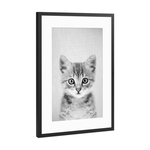 Poster mit Rahmen Schwarz (Metallic) "Kitten - Black & White" artboxONE - Für Kinder,Tiere,Schwarzweiß