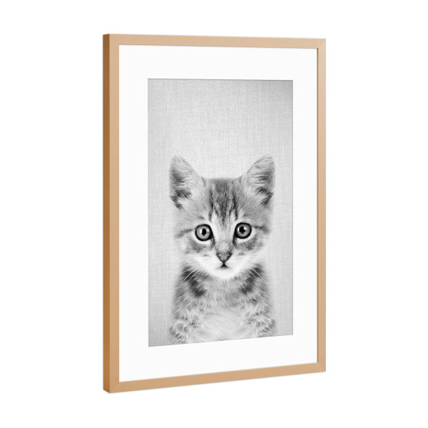 Poster mit Rahmen Kupfer "Kitten - Black & White" artboxONE - Für Kinder,Tiere,Schwarzweiß
