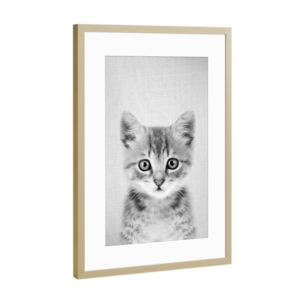 Poster mit Rahmen Gold "Kitten - Black & White" artboxONE - Für Kinder,Tiere,Schwarzweiß