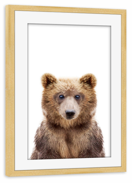 Poster mit Rahmen kiefer "Brown Bear" artboxONE - Tiere - Bear,Brown,Grizzly bear,Animal,Woodlands,Forest,Nursery art
