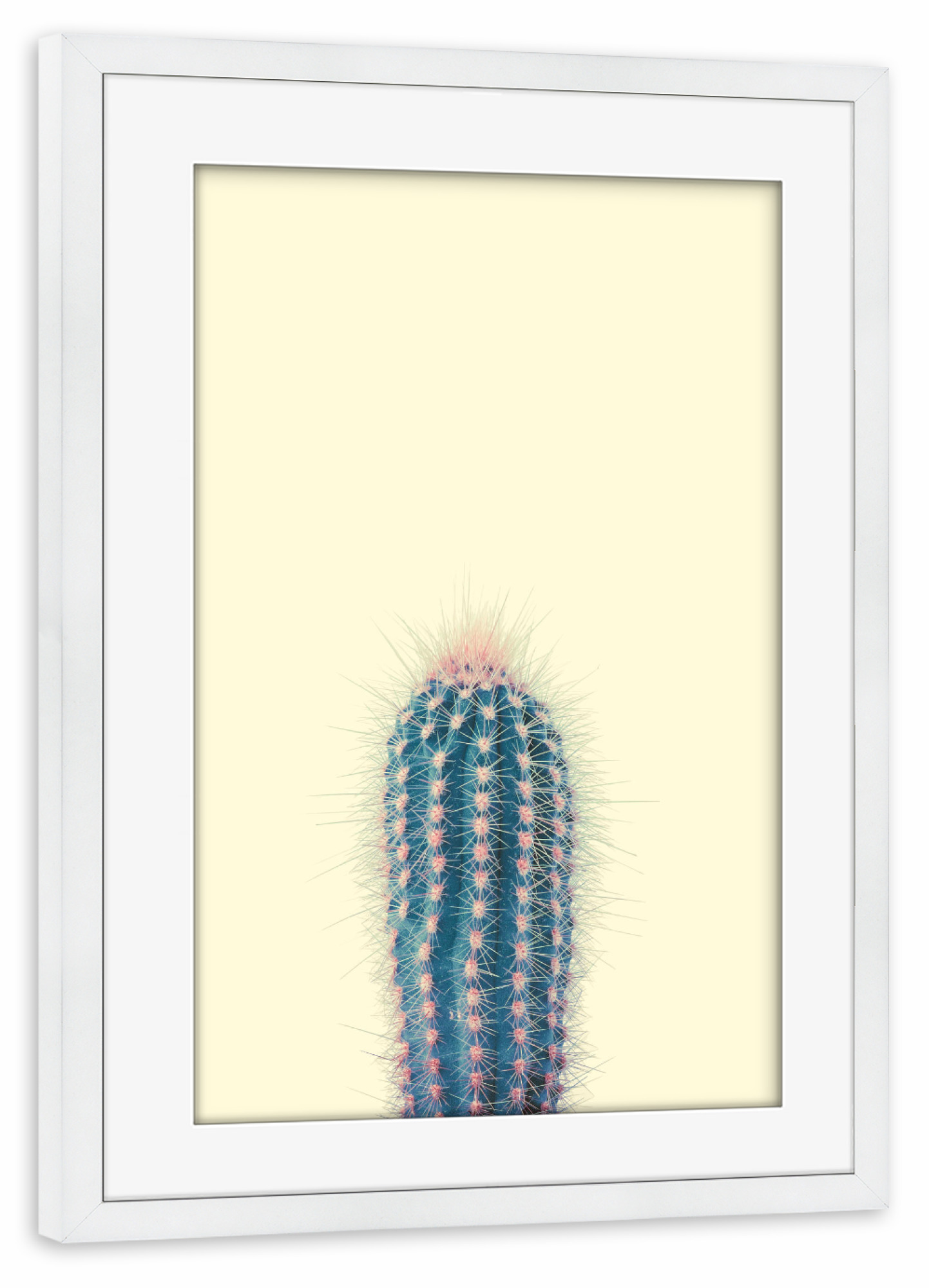 Poster mit Rahmen weiß "Gelber Kaktus" artboxONE - Natur - Kaktus,Geld,Wüste,Sonne,Natur,Kakteen,Grün