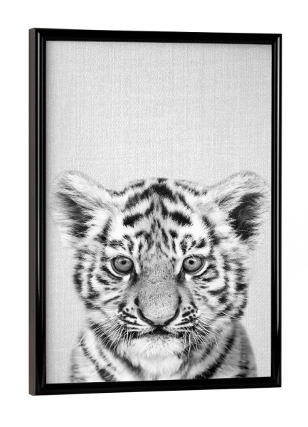 Poster mit schwarzem Rahmen "Baby Tiger - Black & White" artboxONE - Für Kinder,Tiere,Schwarzweiß