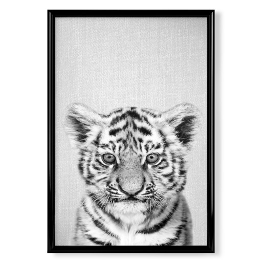 Baby Tiger - Black & White