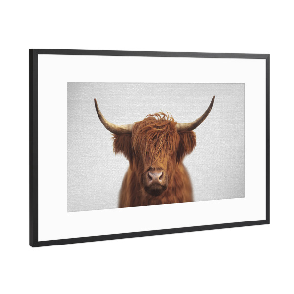 Poster mit Rahmen Schwarz (Metallic) "Highland Cow - Colorful" artboxONE - Für Kinder,Tiere