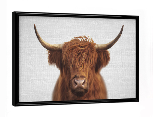 Poster mit schwarzem Rahmen "Highland Cow - Colorful" artboxONE - Für Kinder,Tiere