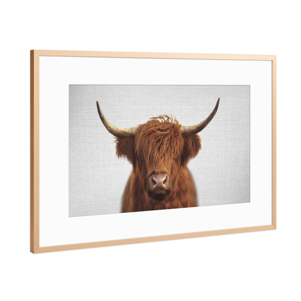 Poster mit Rahmen Kupfer "Highland Cow - Colorful" artboxONE - Für Kinder,Tiere