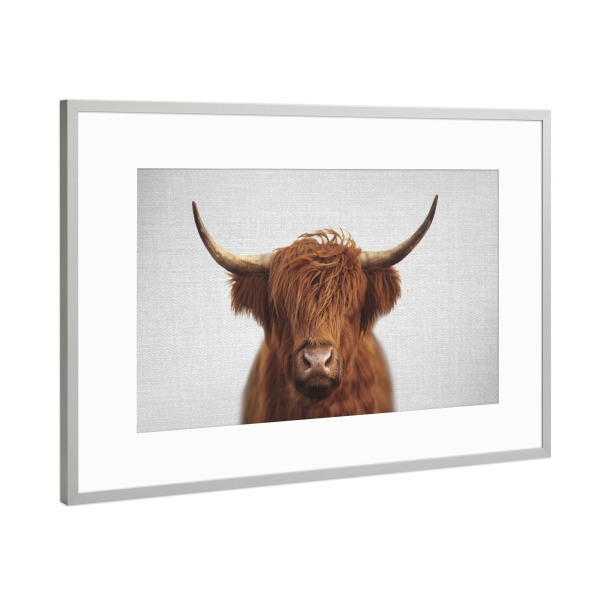 Poster mit Rahmen Silber "Highland Cow - Colorful" artboxONE - Für Kinder,Tiere